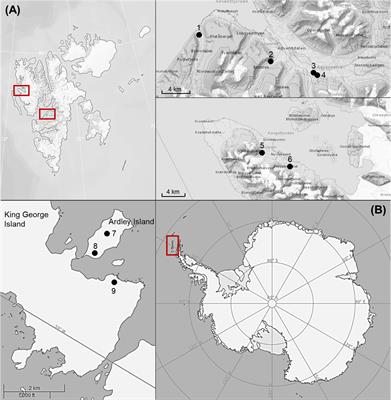 Ecophysiological Response Against Temperature in Klebsormidium (Streptophyta) Strains Isolated From Biological Soil Crusts of Arctic and Antarctica Indicate Survival During Global Warming